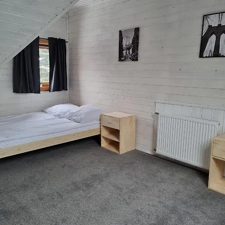 Tatarak Na Mazurach Nad Jeziorem Walpusz Stare Kiejkuty