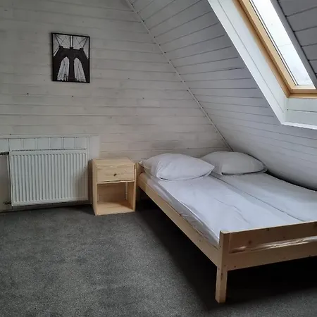 Tatarak Na Mazurach Nad Jeziorem Walpusz