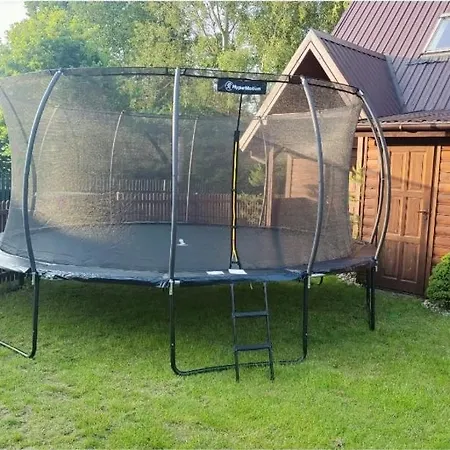 Tatarak Na Mazurach Nad Jeziorem Walpusz