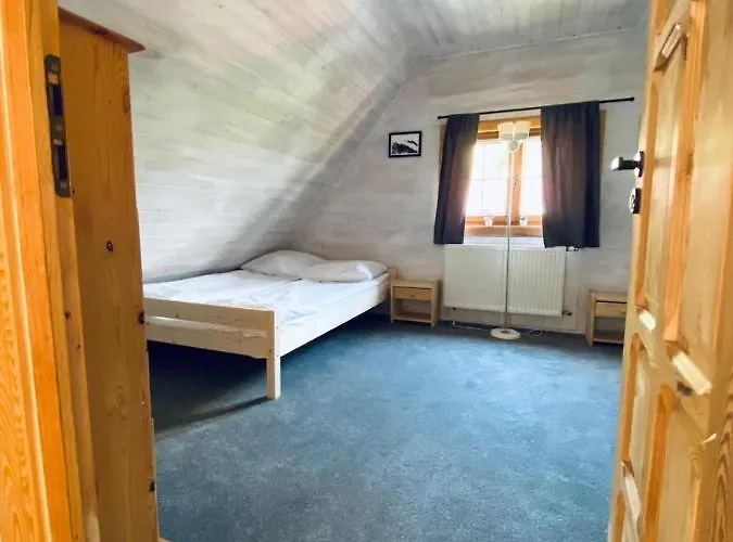 Tatarak Na Mazurach Nad Jeziorem Walpusz Stare Kiejkuty