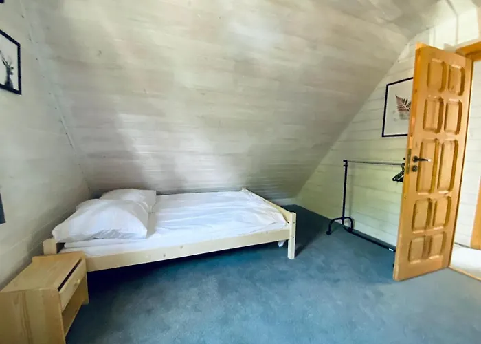 Tatarak Na Mazurach Nad Jeziorem Walpusz * Stare Kiejkuty