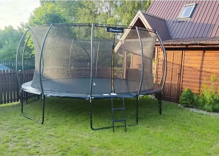 Tatarak Na Mazurach Nad Jeziorem Walpusz